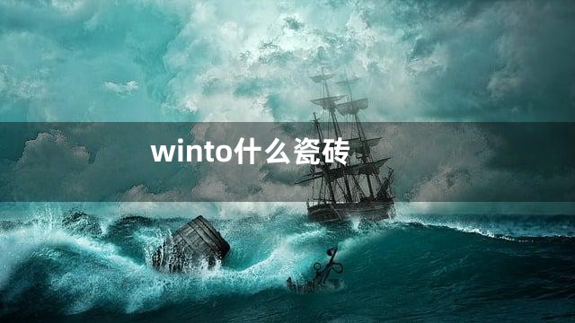 winto什么瓷砖