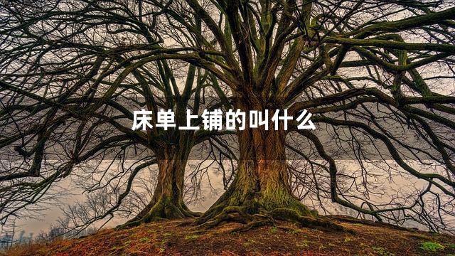 床单上铺的叫什么