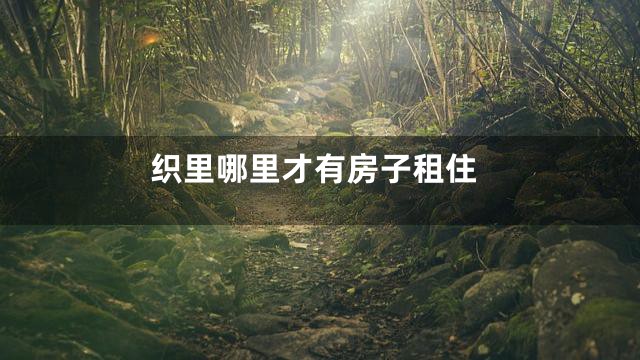织里哪里才有房子租住