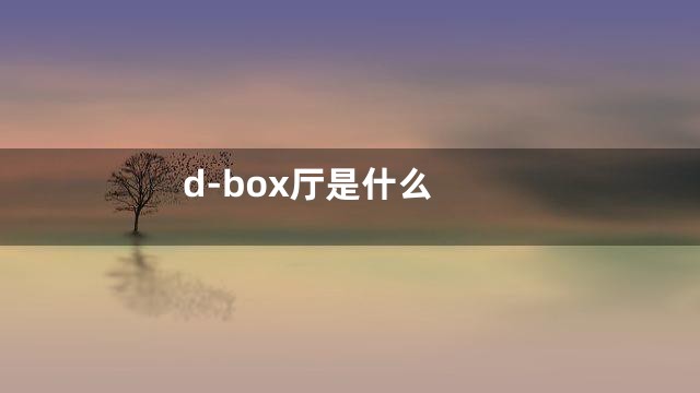 d-box厅是什么