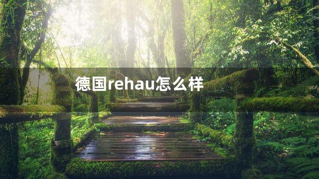 德国rehau怎么样