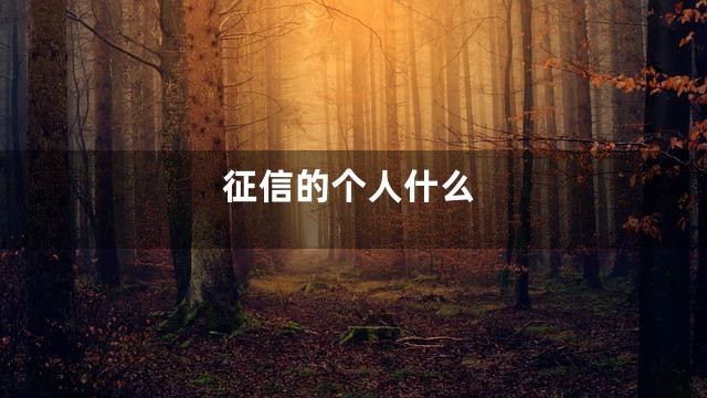 征信的个人什么