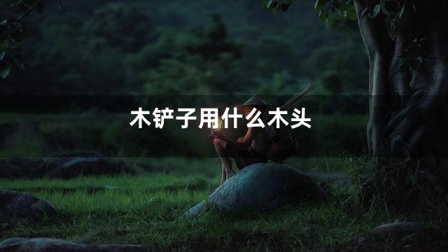 木铲子用什么木头