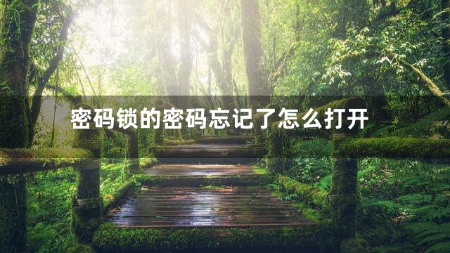密码锁的密码忘记了怎么打开
