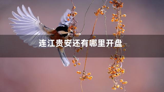 连江贵安还有哪里开盘