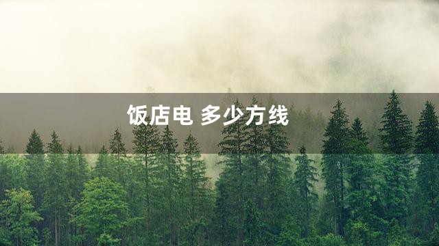 饭店电 多少方线