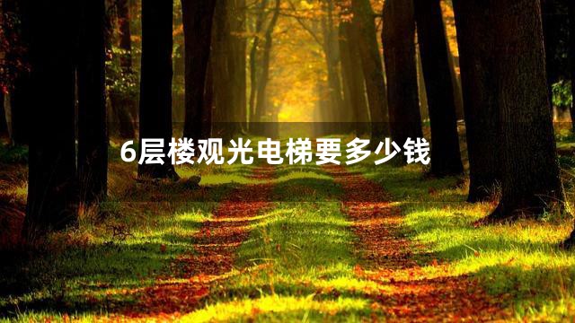 6层楼观光电梯要多少钱