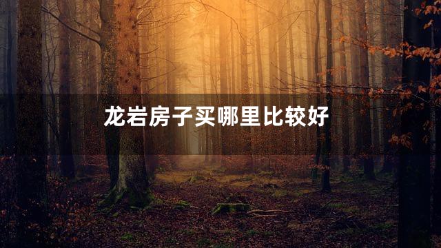 龙岩房子买哪里比较好