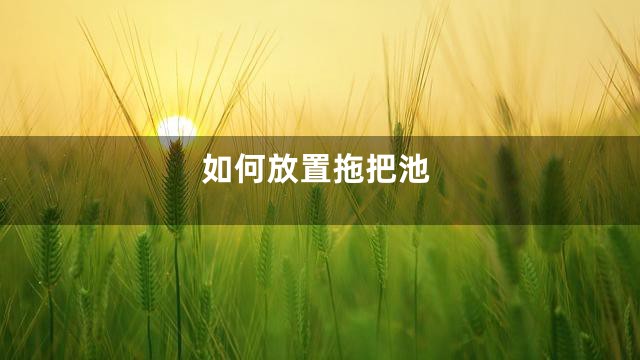 如何放置拖把池