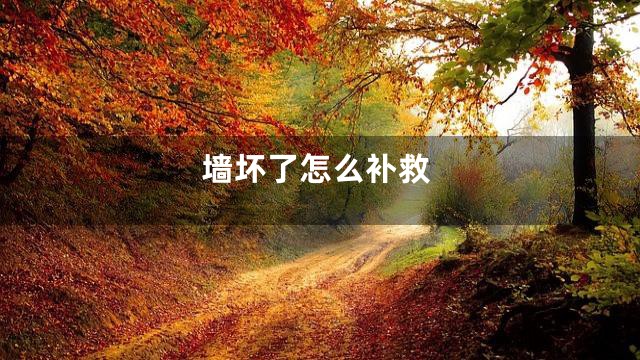 墙坏了怎么补救