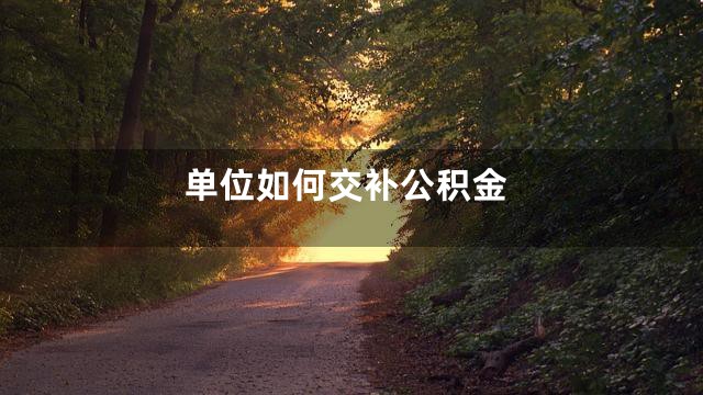 单位如何交补公积金