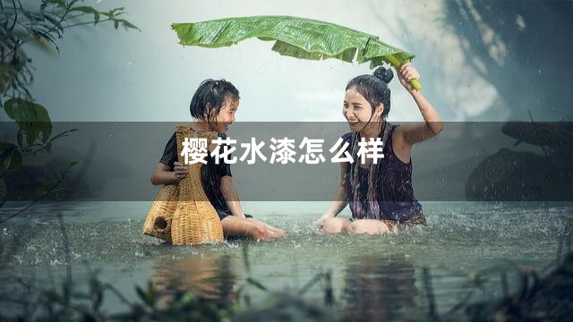 樱花水漆怎么样