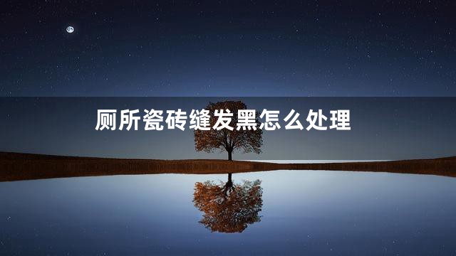 厕所瓷砖缝发黑怎么处理