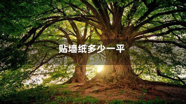 贴墙纸多少一平