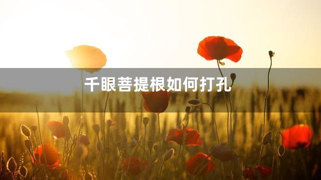 千眼菩提根如何打孔