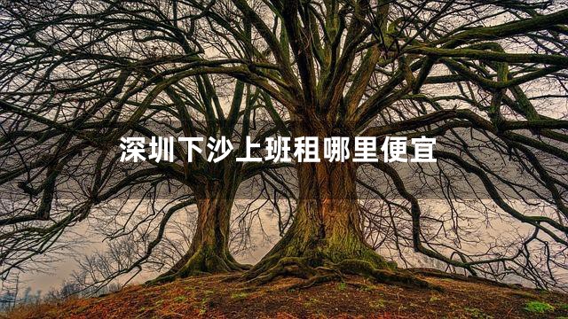 深圳下沙上班租哪里便宜