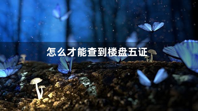 怎么才能查到楼盘五证