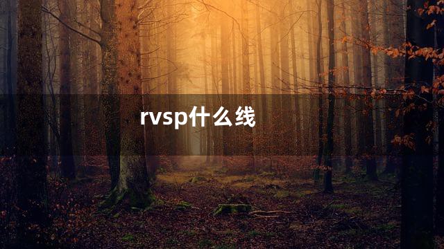 rvsp什么线