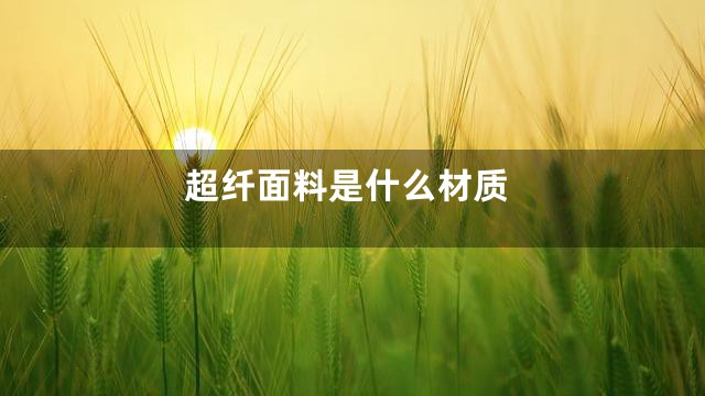 超纤面料是什么材质