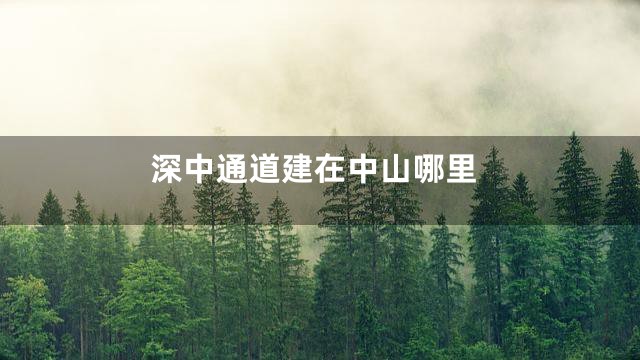 深中通道建在中山哪里