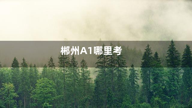郴州A1哪里考