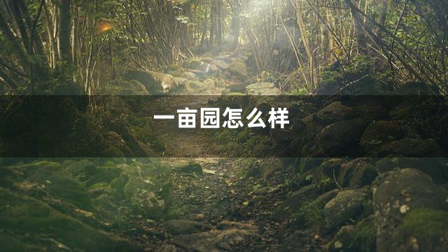 一亩园怎么样