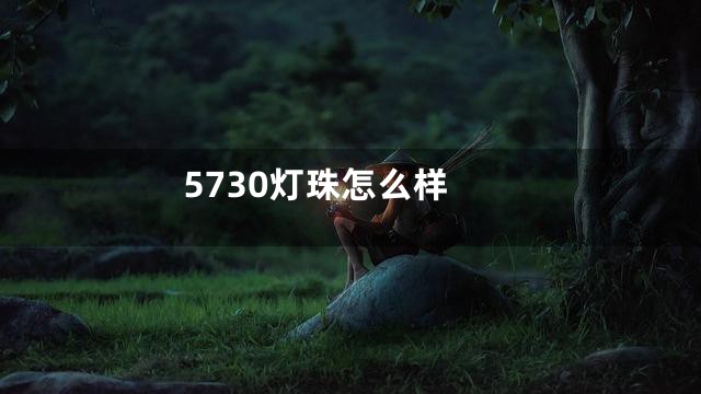 5730灯珠怎么样