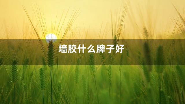 墙胶什么牌子好