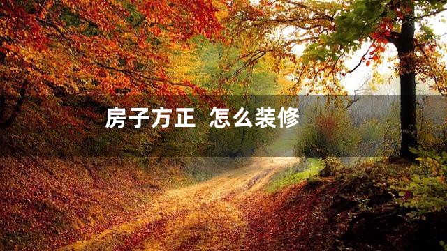房子方正  怎么装修