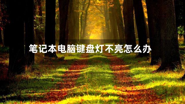 笔记本电脑键盘灯不亮怎么办