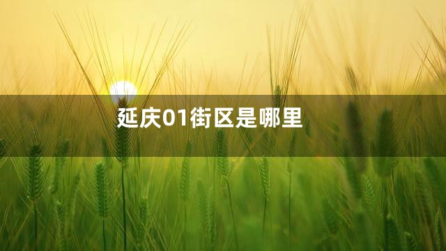 延庆01街区是哪里