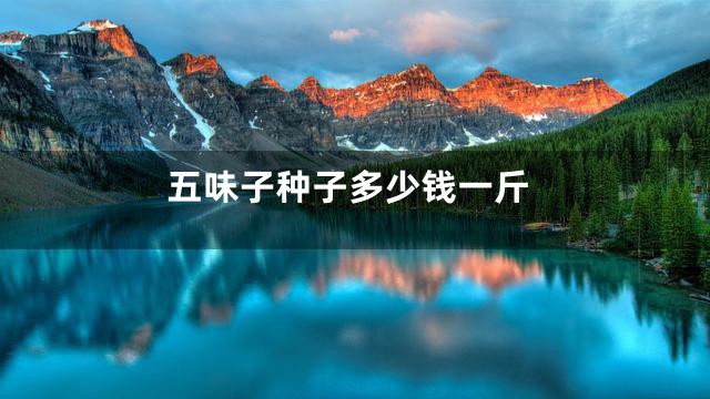 五味子种子多少钱一斤