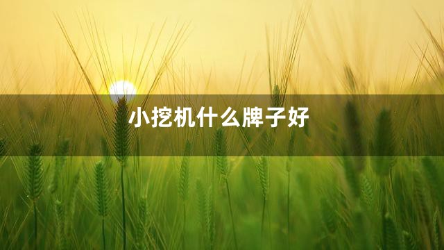 小挖机什么牌子好