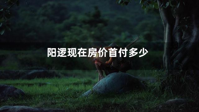 阳逻现在房价首付多少