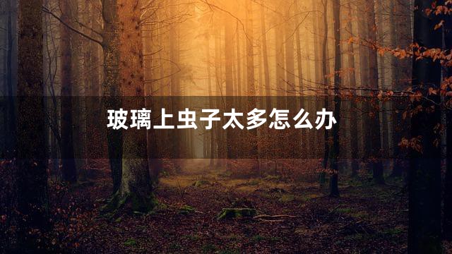 玻璃上虫子太多怎么办