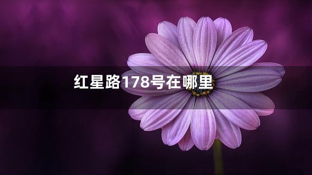 红星路178号在哪里