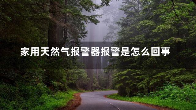 家用天然气报警器报警是怎么回事