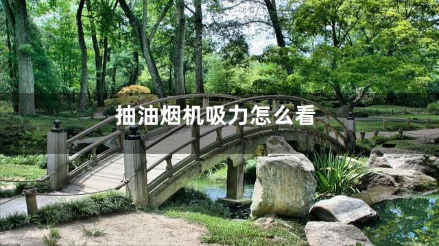 抽油烟机吸力怎么看
