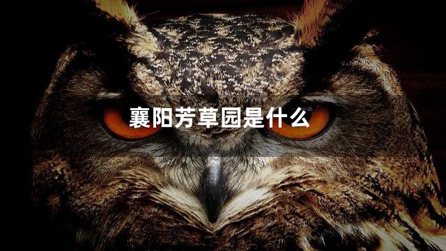 襄阳芳草园是什么