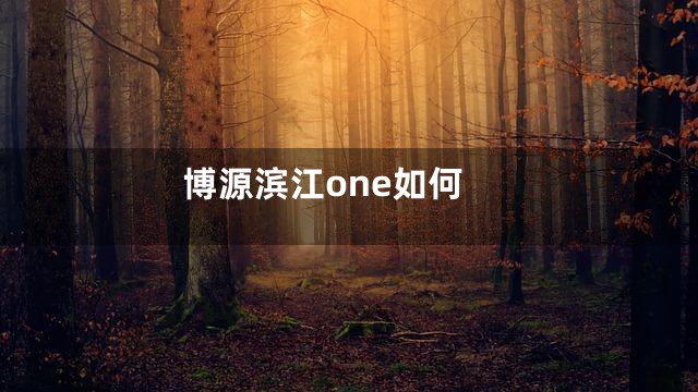 博源滨江one如何