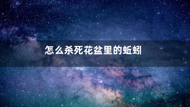 怎么杀死花盆里的蚯蚓