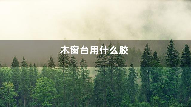 木窗台用什么胶