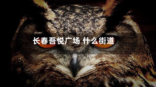 长春吾悦广场 什么街道