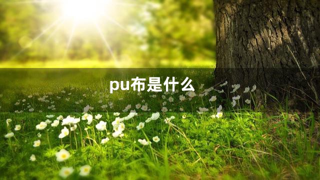 pu布是什么