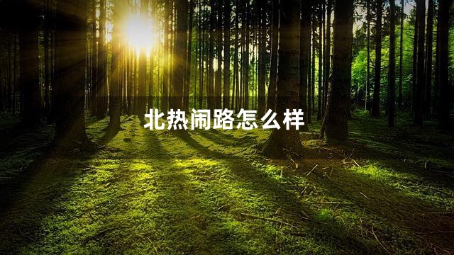 北热闹路怎么样