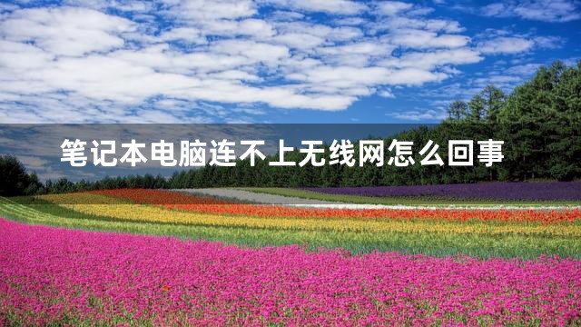 笔记本电脑连不上无线网怎么回事