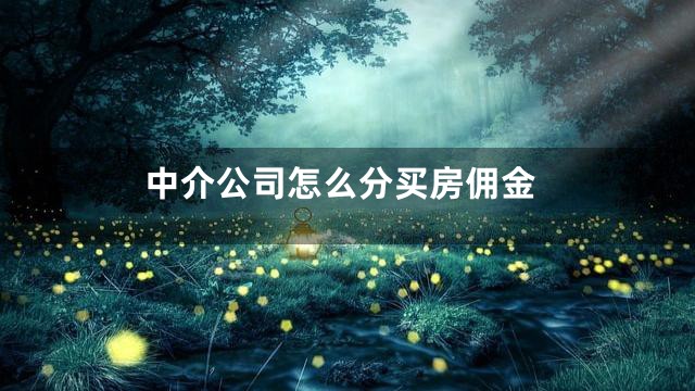中介公司怎么分买房佣金