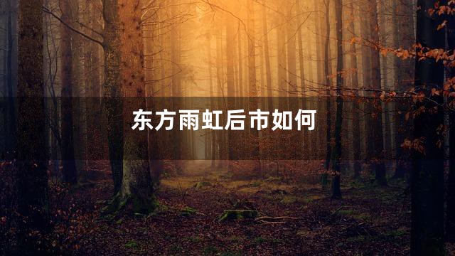 东方雨虹后市如何