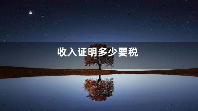收入证明多少要税