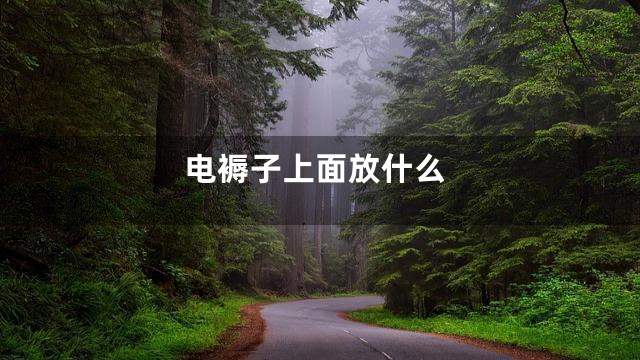 电褥子上面放什么